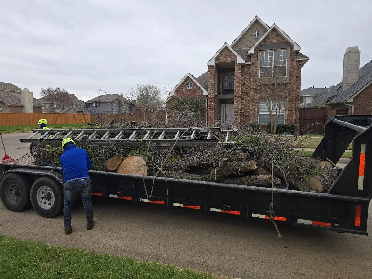 Expert Lot Clearing with proper safety equipment in Shoreham